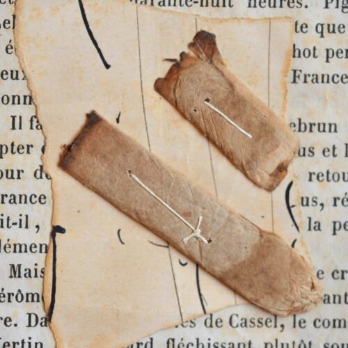 Deux mégots de cigarette fumées par Napoléon III après la capitulation de Sedan.
