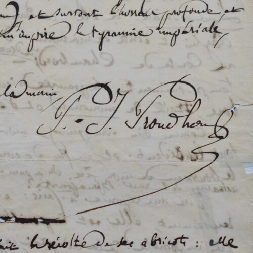 Proudhon et la "race Bonaparte"