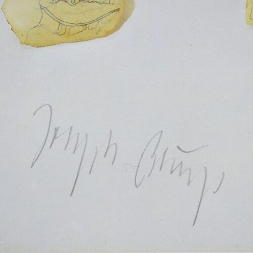 Belle signature de l'artiste Joseph Beuys