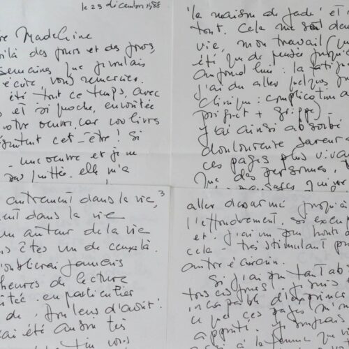 Viviane Forrester encense l'écriture de Madeleine Chapsal