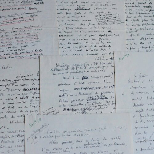 Trois versions d'un manuscrit de Francis Ponge sur Jean Hélion – vue 2