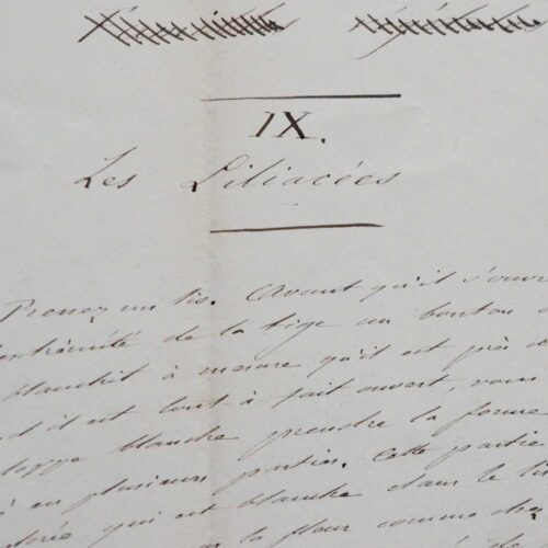 L'entomologiste Jean-Henri Fabre reprend un texte de J.-J. Rousseau sur les Liliacées