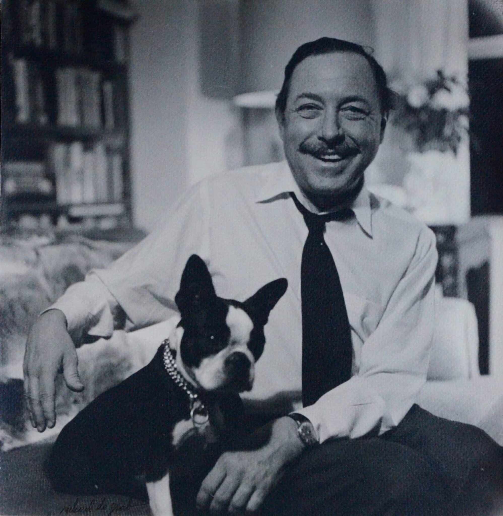 Grand portrait photographique dédicacé de Tennessee Williams