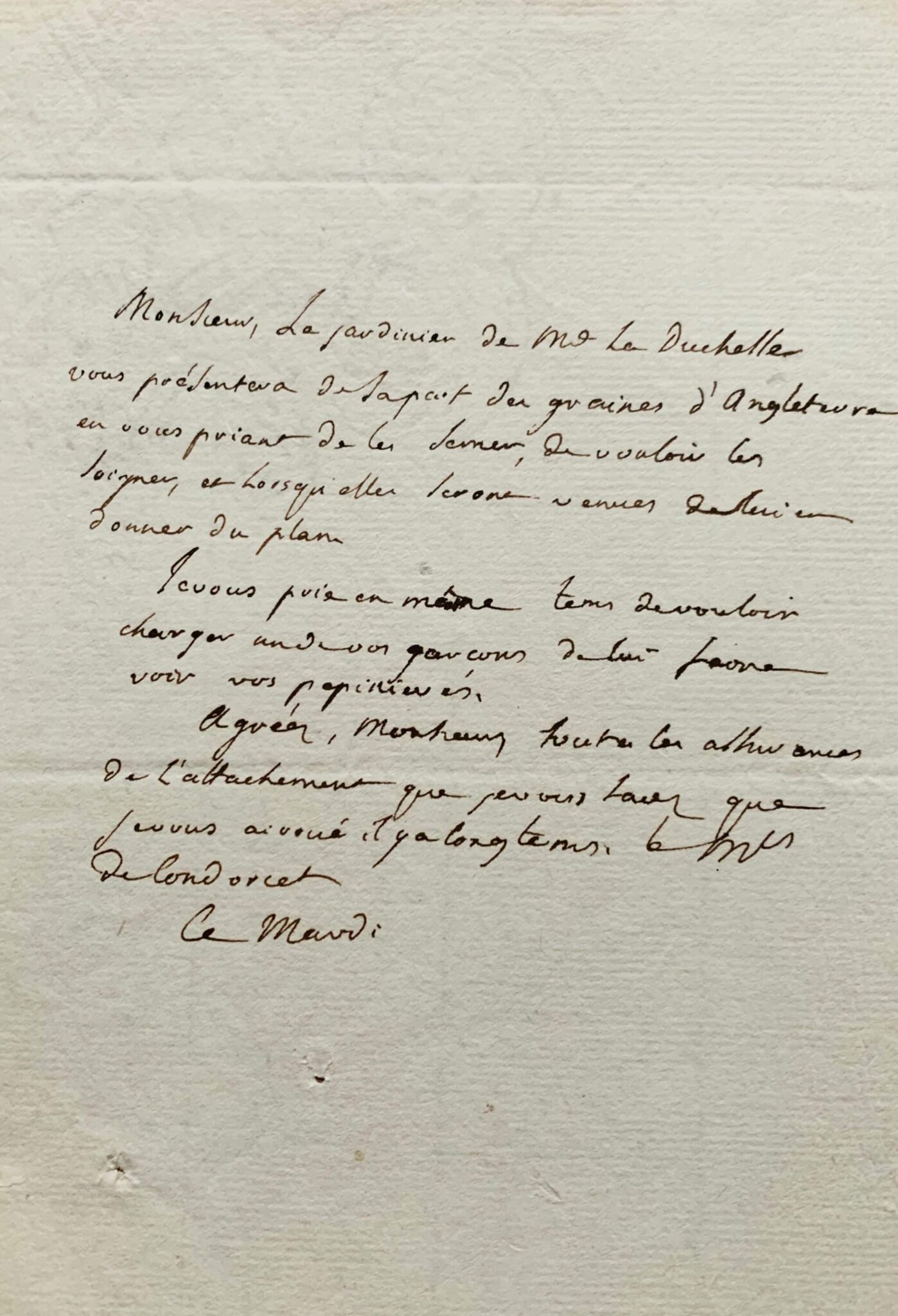 Condorcet fait parvenir des plantes d'Angleterre au botaniste André Thouin – vue 2 Condorcet fait parvenir des plantes d'Angleterre au botaniste André Thouin – vue 2