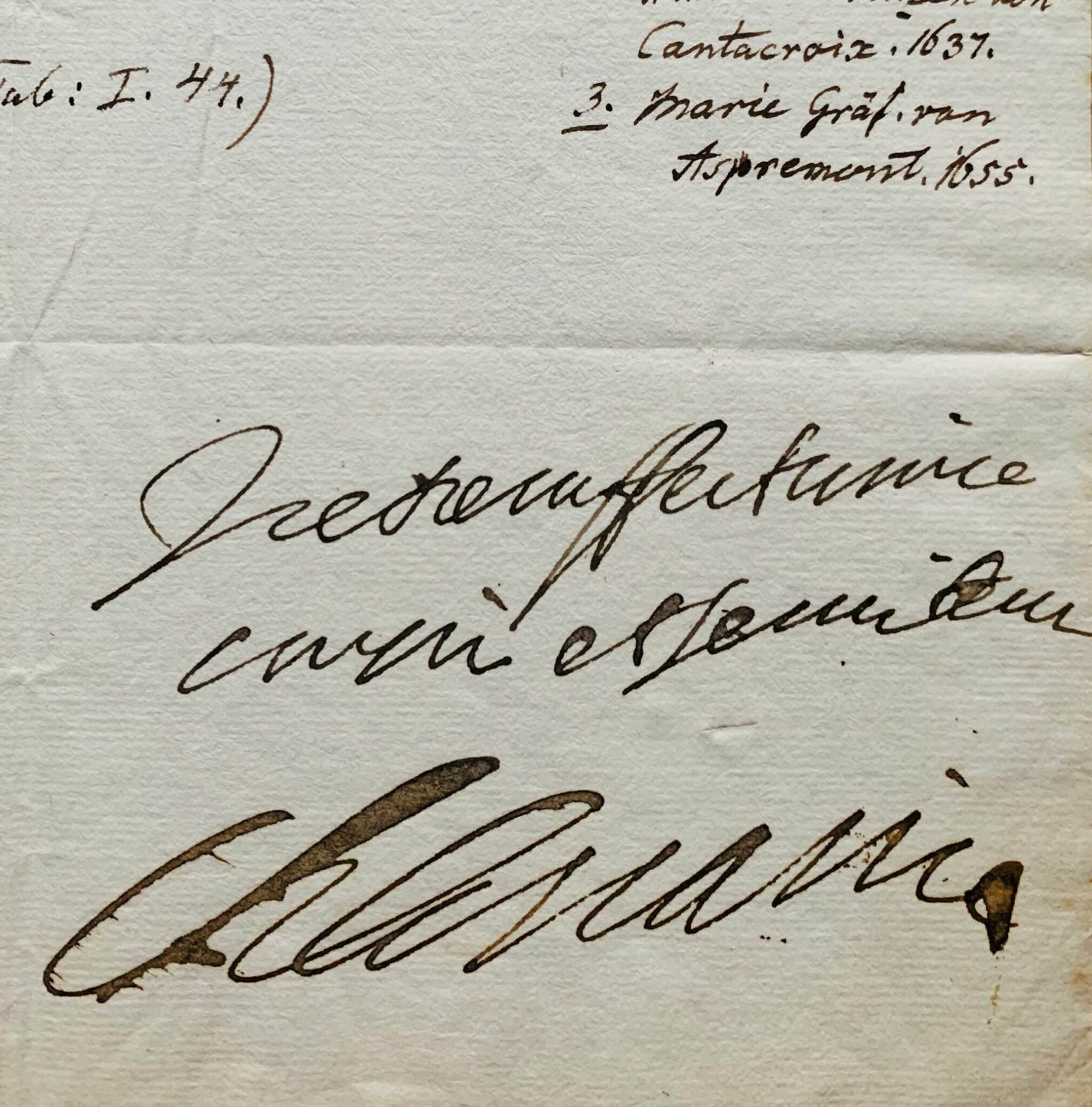 Le duc Charles IV de Lorraine commande du vin de Rheingau