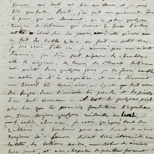 Superbe lettre intime d'Élisa Bonaparte sur sa vie en Italie, les fouilles à Aquilée et sa fille Napoleone – vue 2