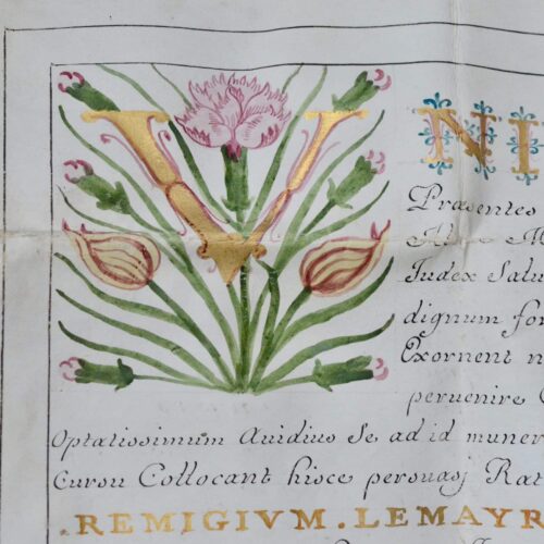 Superbe diplôme enluminé de médecine de 1688 signé par le botaniste montpelliérain Michel Chicoyneau