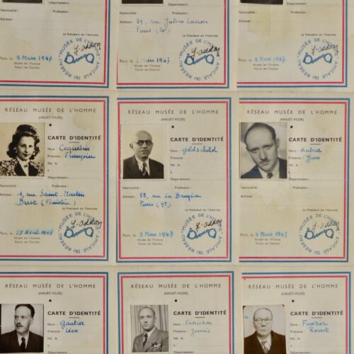 Résistance : ensemble de 9 cartes de membres du premier réseau de résistants du Musée de l'Homme