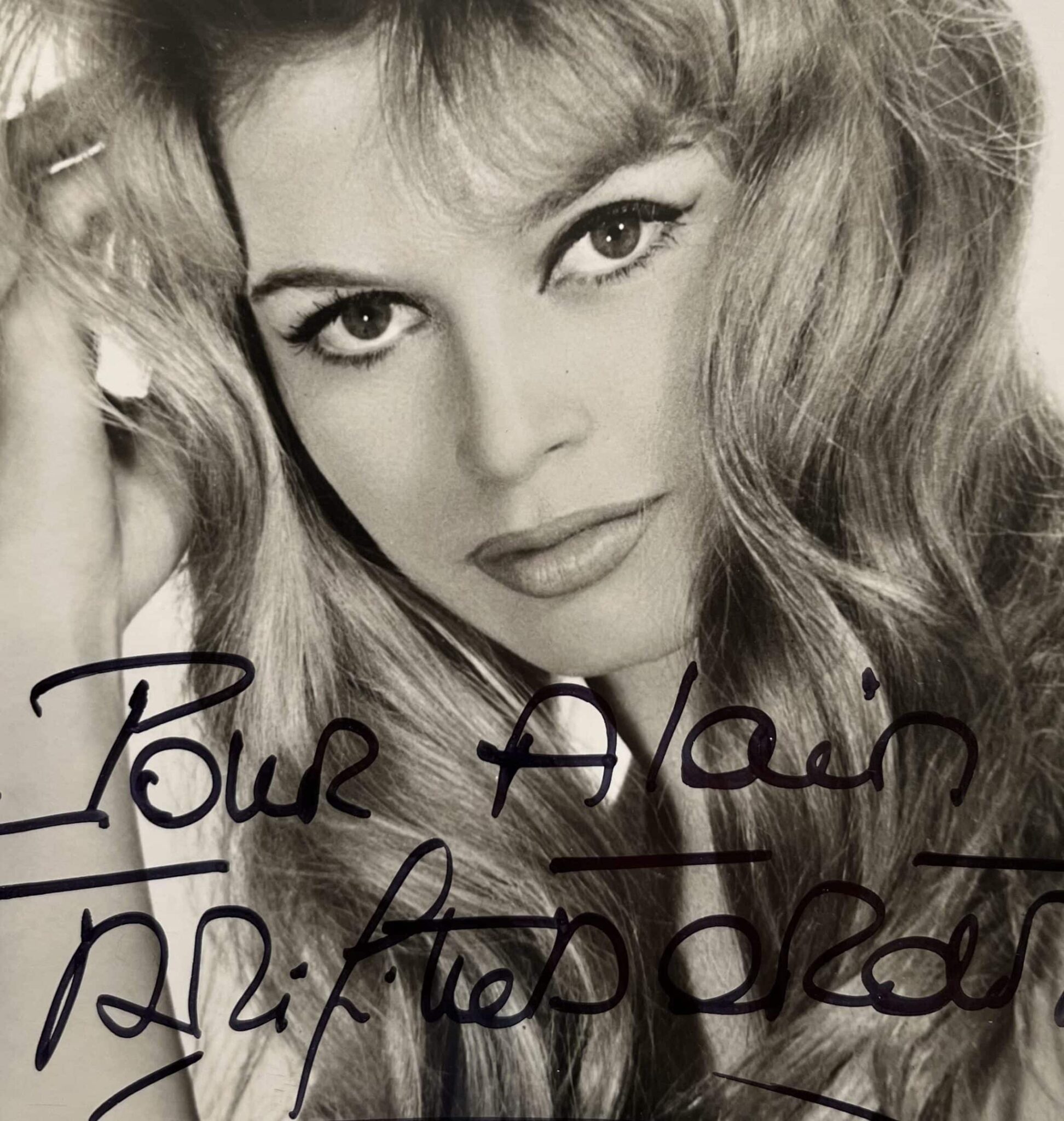 Très beau et grand portrait photographique dédicacé de Brigitte Bardot