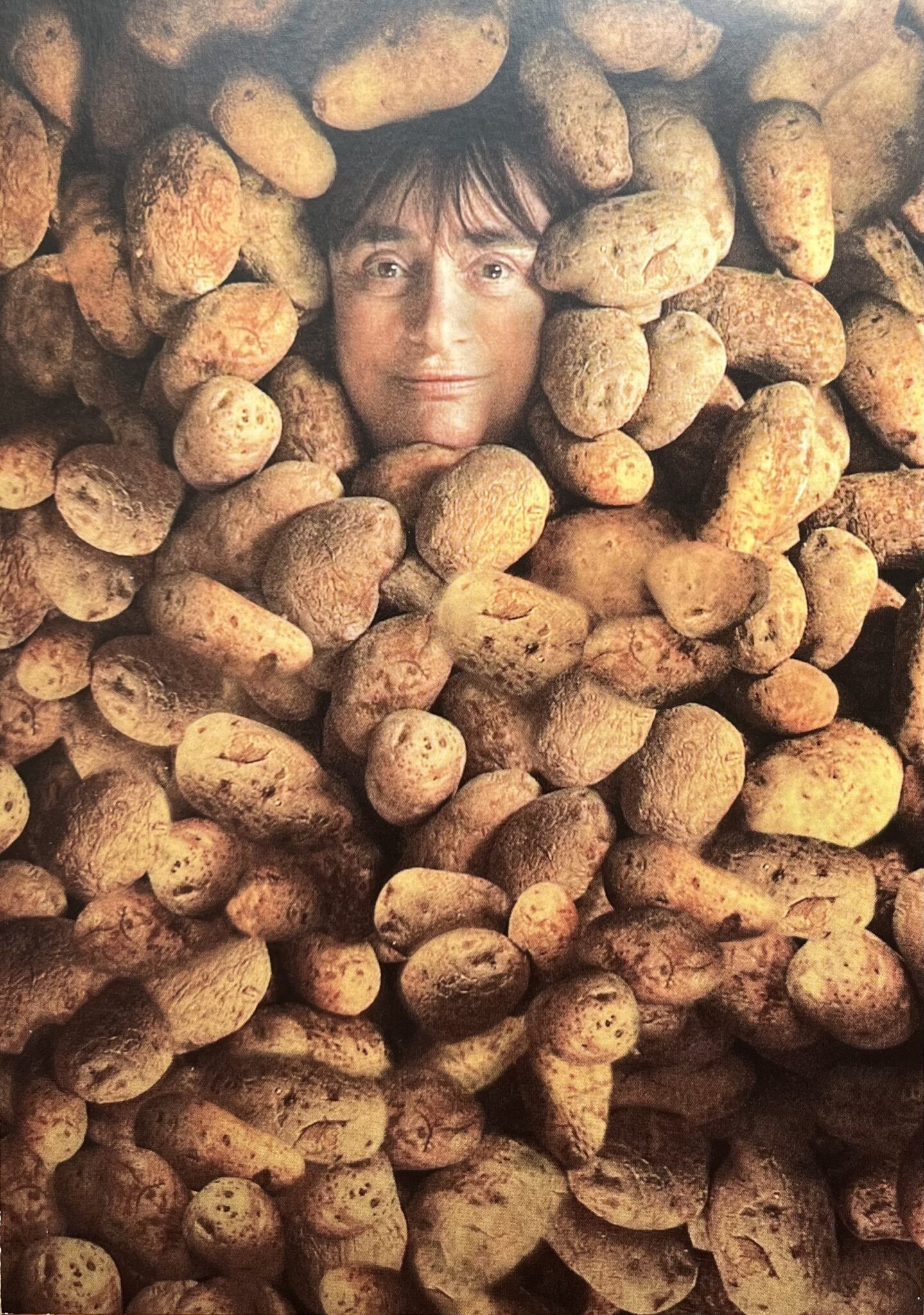 image00010