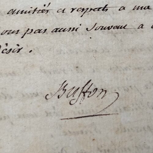 Très belle lettre de Buffon à Guéneau de Montbeillard sur la rédaction de son "Histoire des Oiseaux"