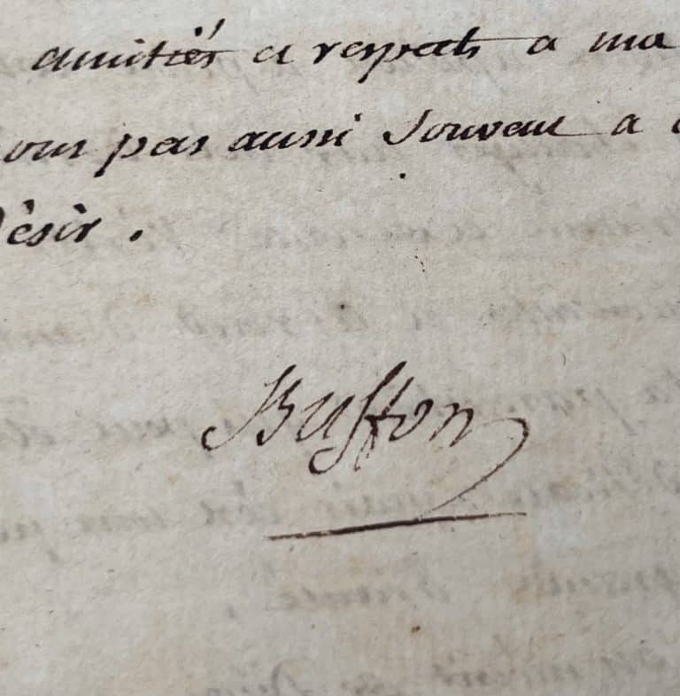 Très belle lettre de Buffon à Guéneau de Montbeillard sur la rédaction de son « Histoire des Oiseaux »