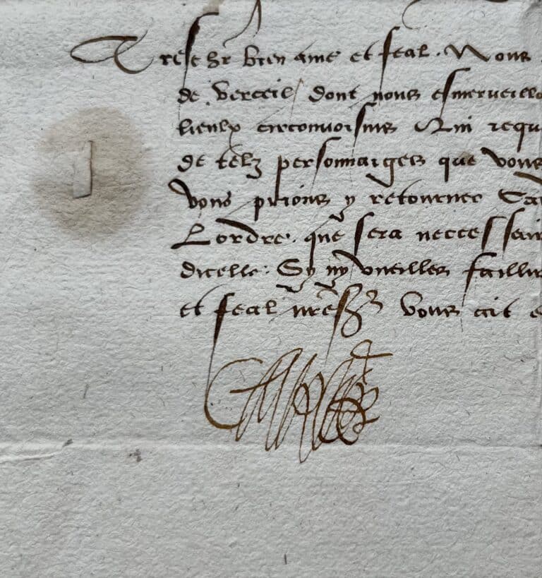 Le duc Charles II de Savoie ordonne de pacifier la cité de Vercelli en Piémont, au début du XVIe siècle