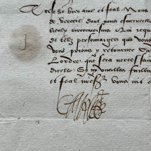All'inizio del XVI secolo, il duca Carlo II di Savoia ordinò la pacificazione della città di Vercelli, in Piemonte