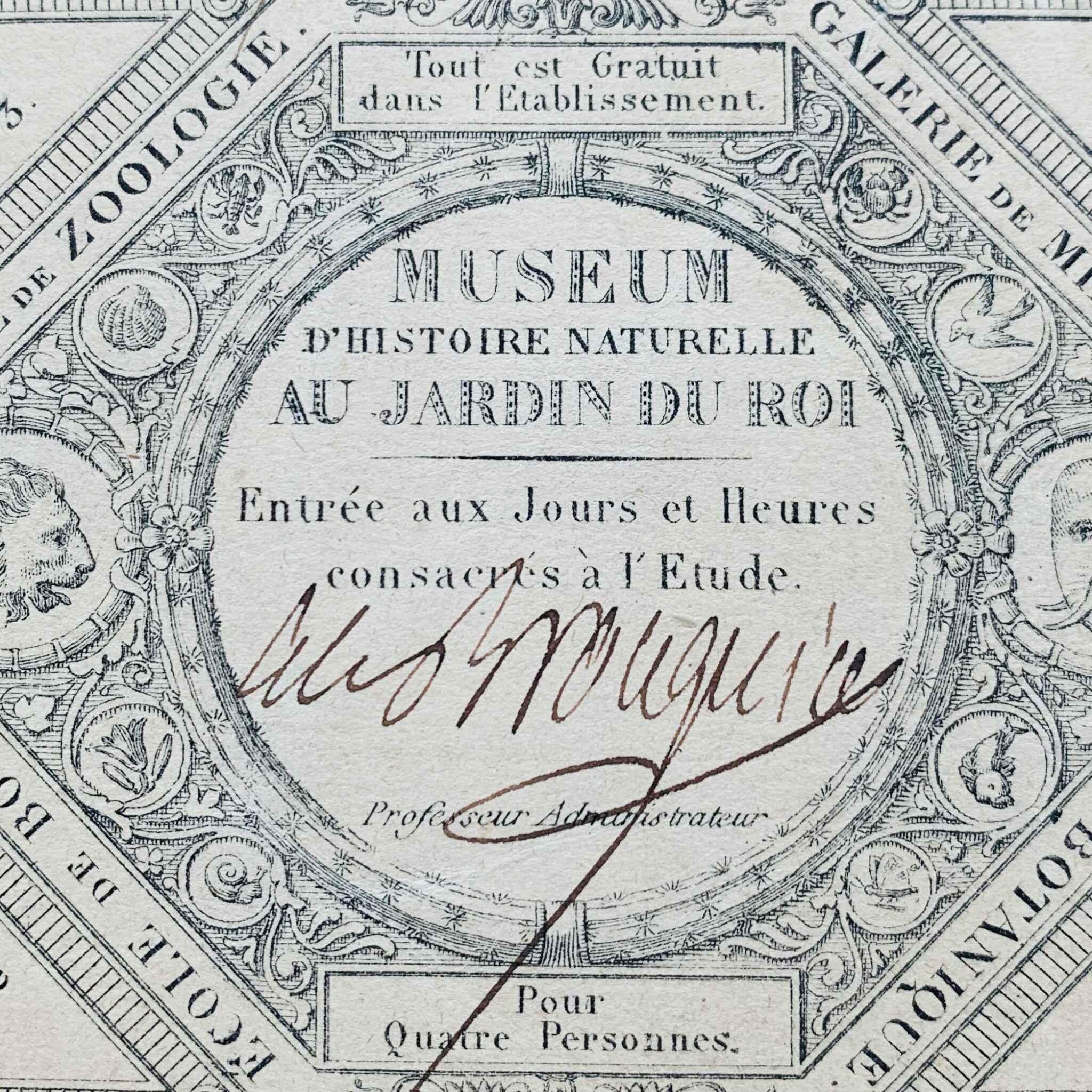 Tessera di ingresso al museo firmata da Alexandre Brongniart