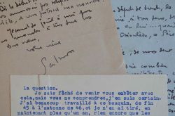 André Salmon travaille à la diffusion de son oeuvre.