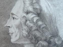 Beau portrait de Voltaire.