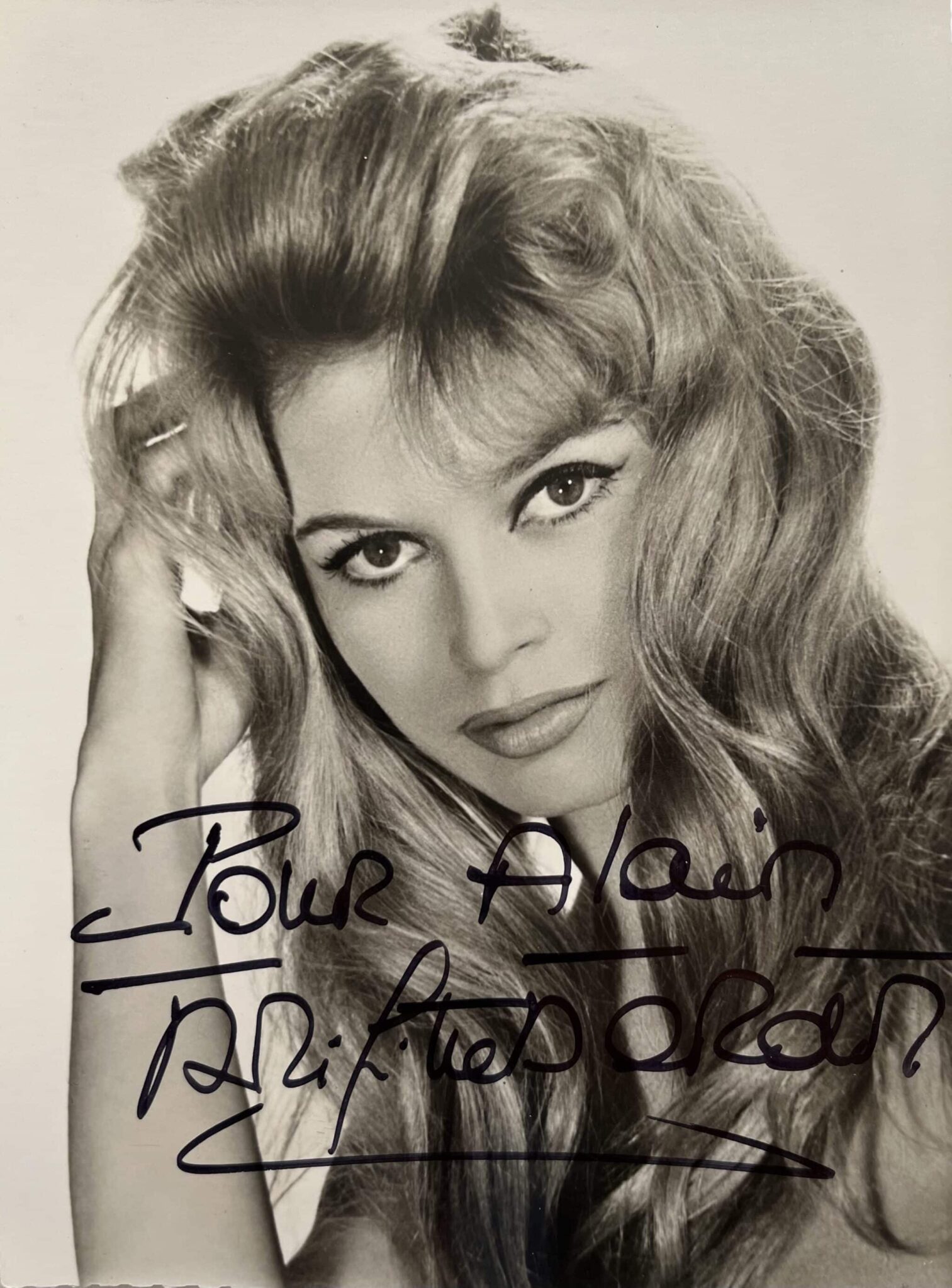Très beau et grand portrait photographique dédicacé de Brigitte Bardot – vue 2 Très beau et grand portrait photographique dédicacé de Brigitte Bardot – vue 2